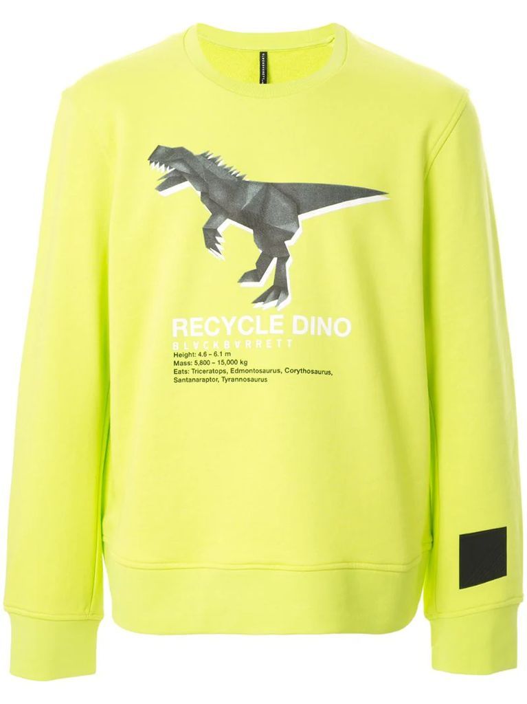 'recycle dino' cotton sweatshirt