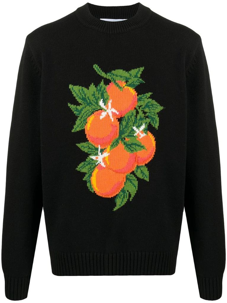 long-sleeve embroidered sweatshirt