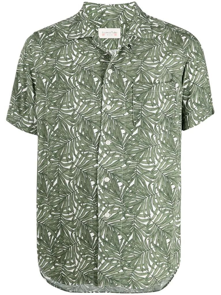 palm-tree print shirt