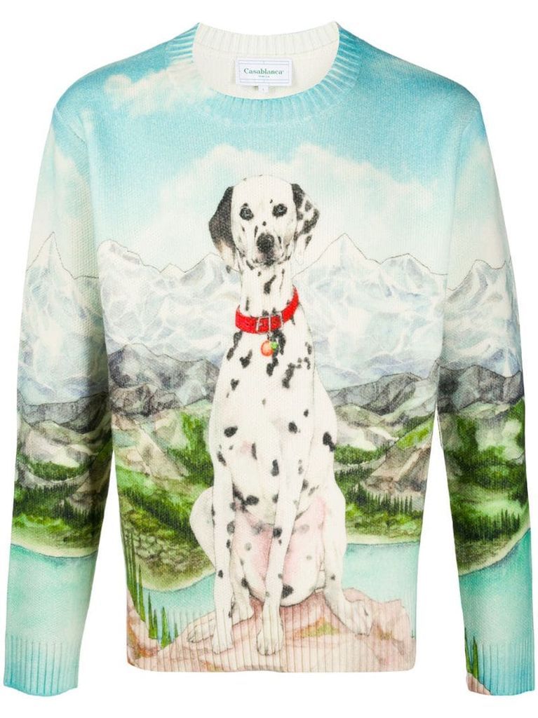 Dalmatian print jumper