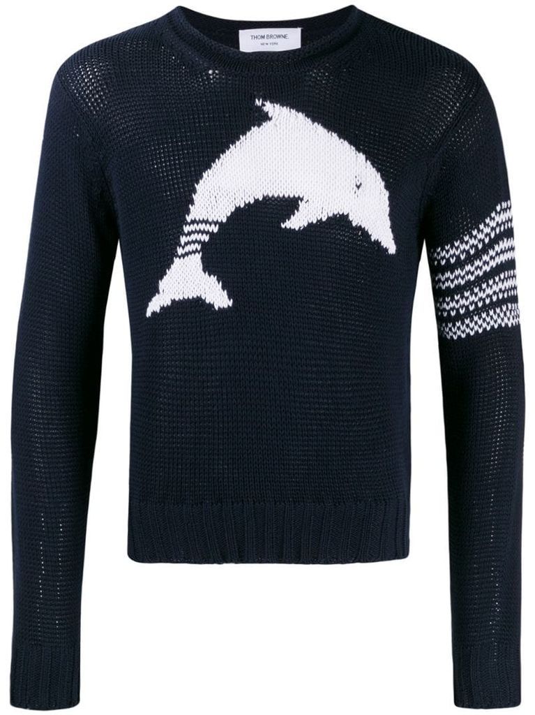 Dolphin Intarsia crew neck Sweater