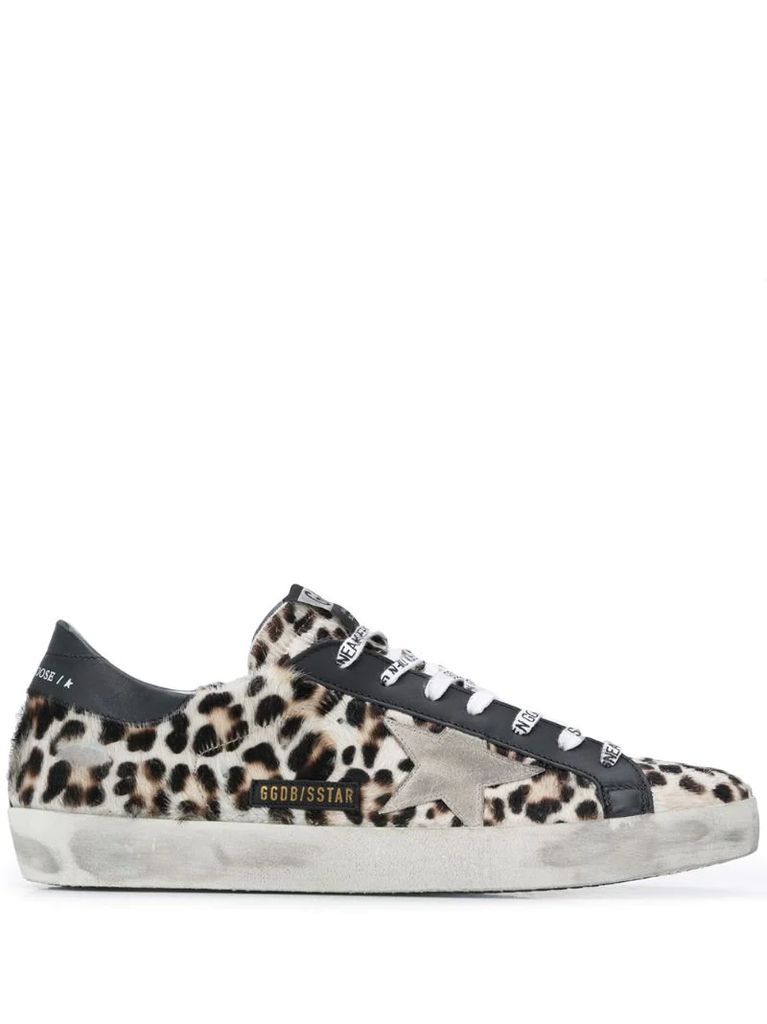 Superstar leopard-print sneakers