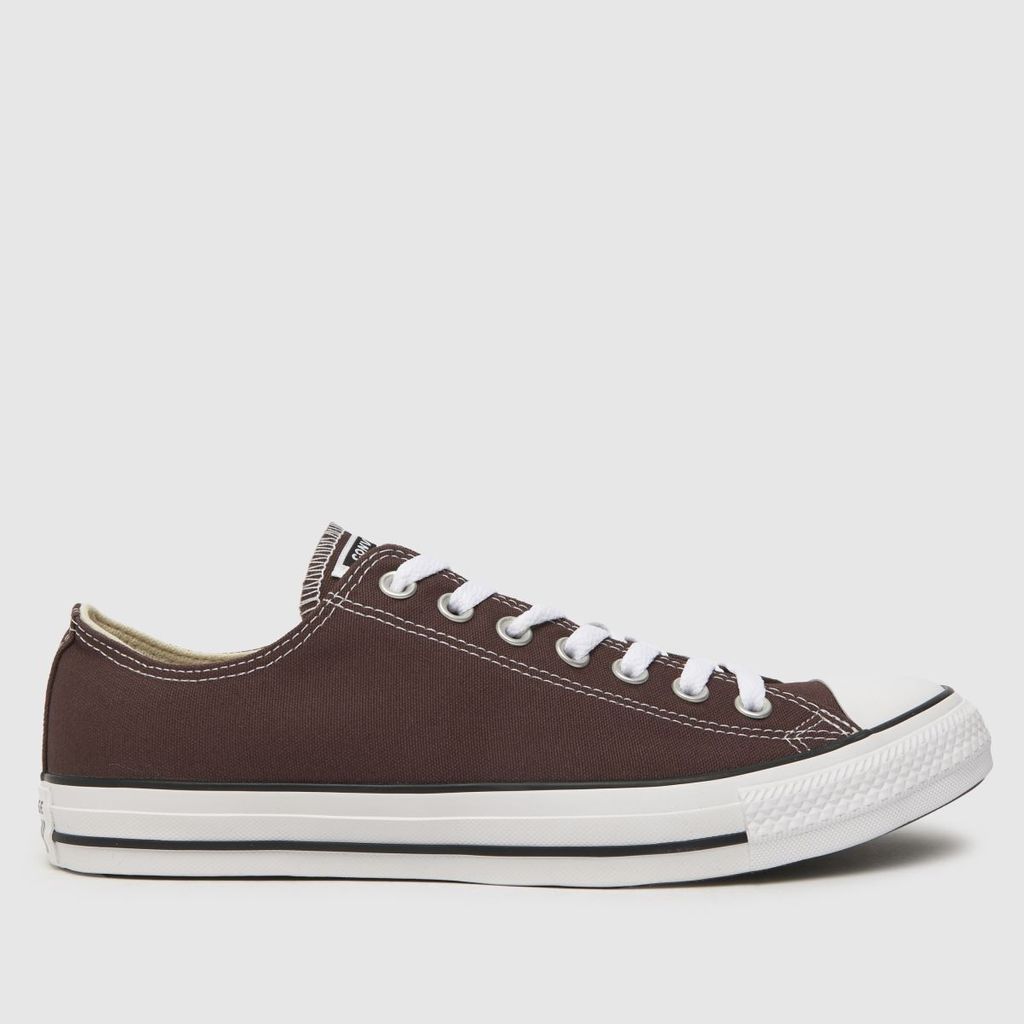 all star ox trainers in brown