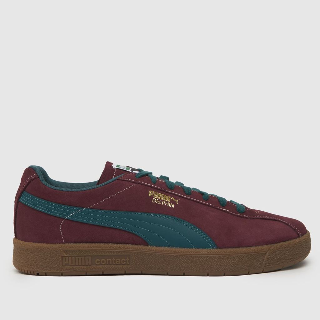 delphin trainers in burgundy