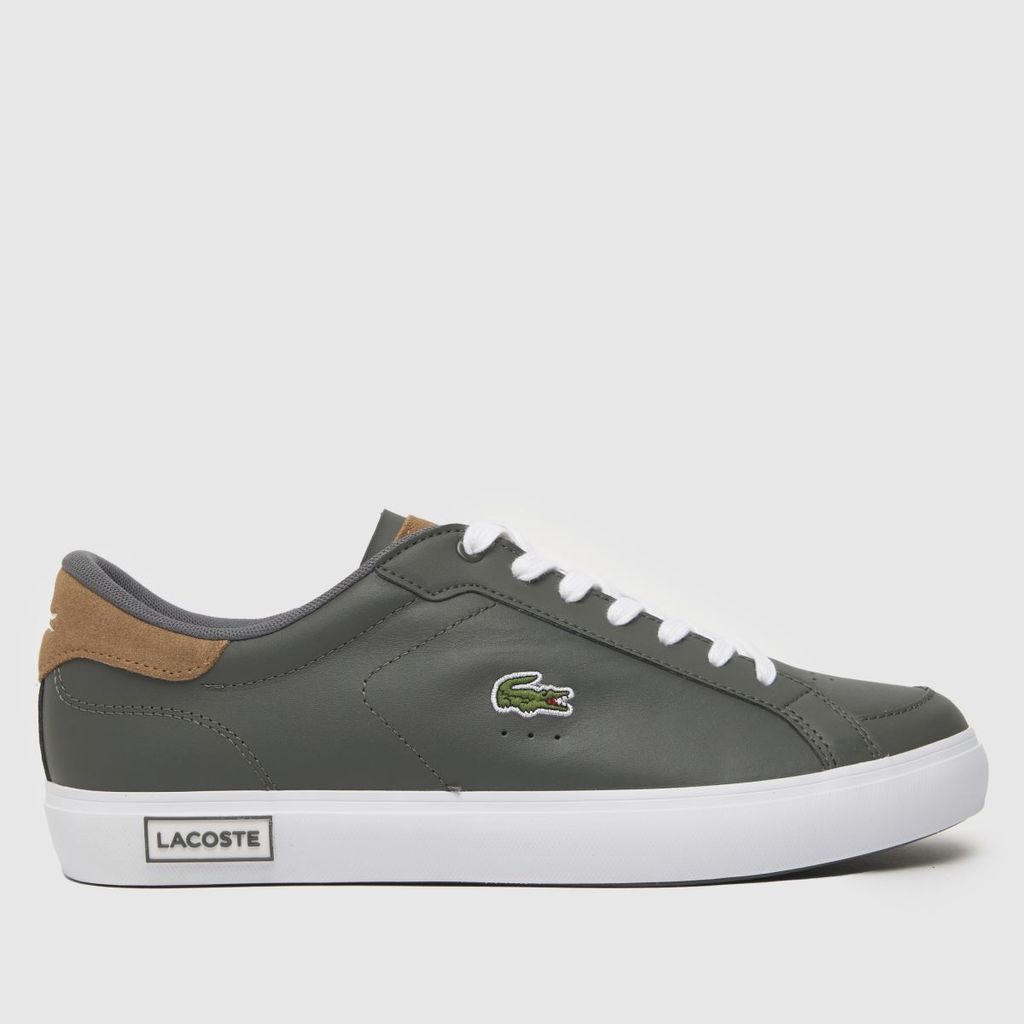 powercourt trainers in brown & grey