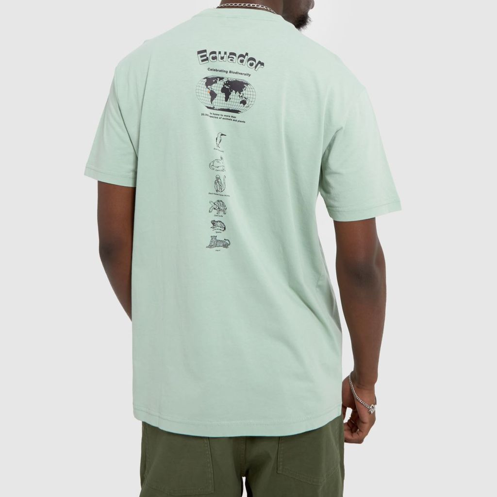 s-paradise t-shirt in light green
