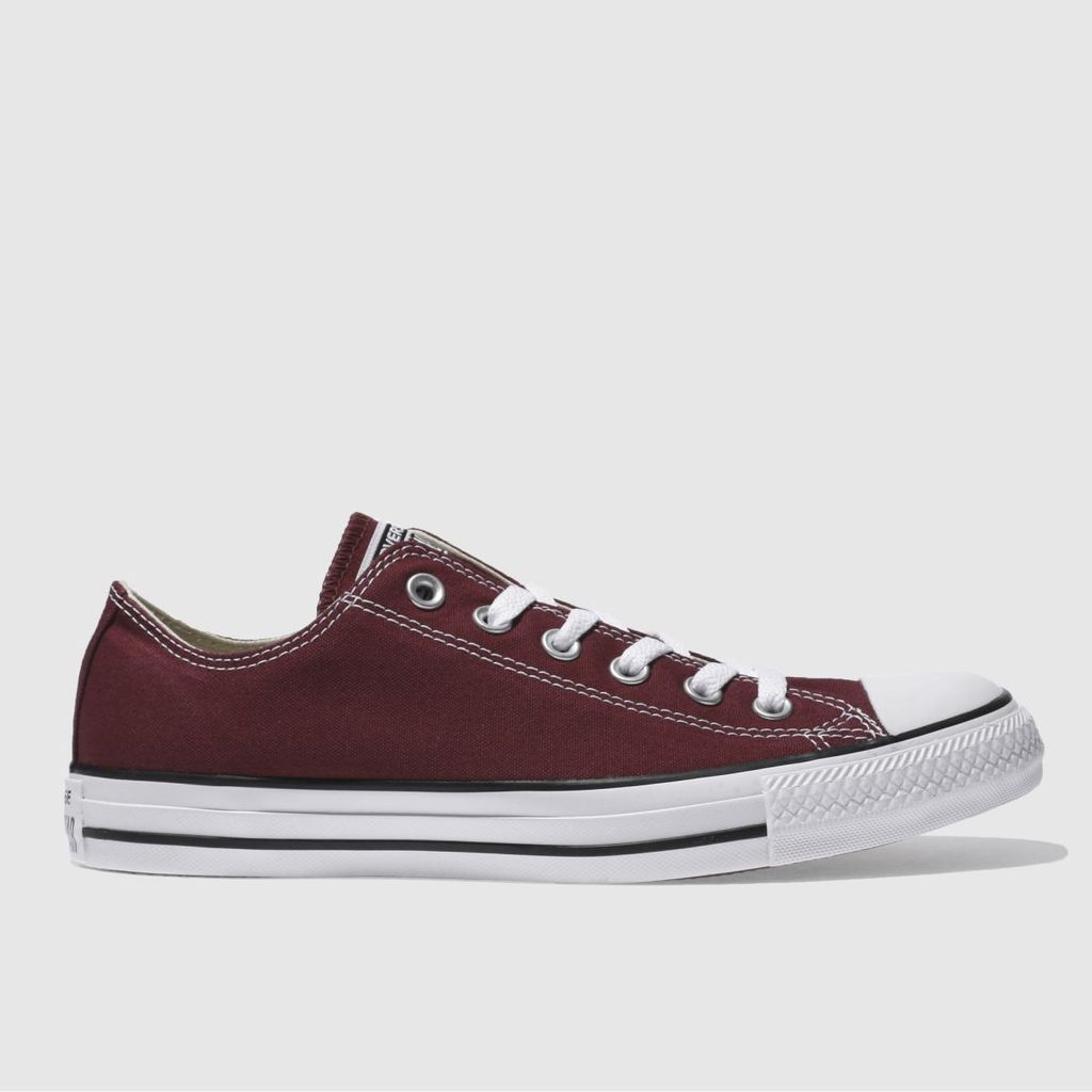 all star lo trainers in burgundy