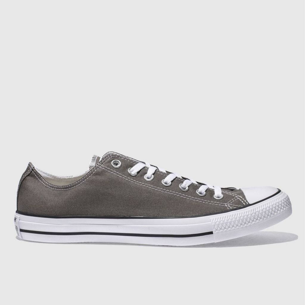 all star ox trainers in grey