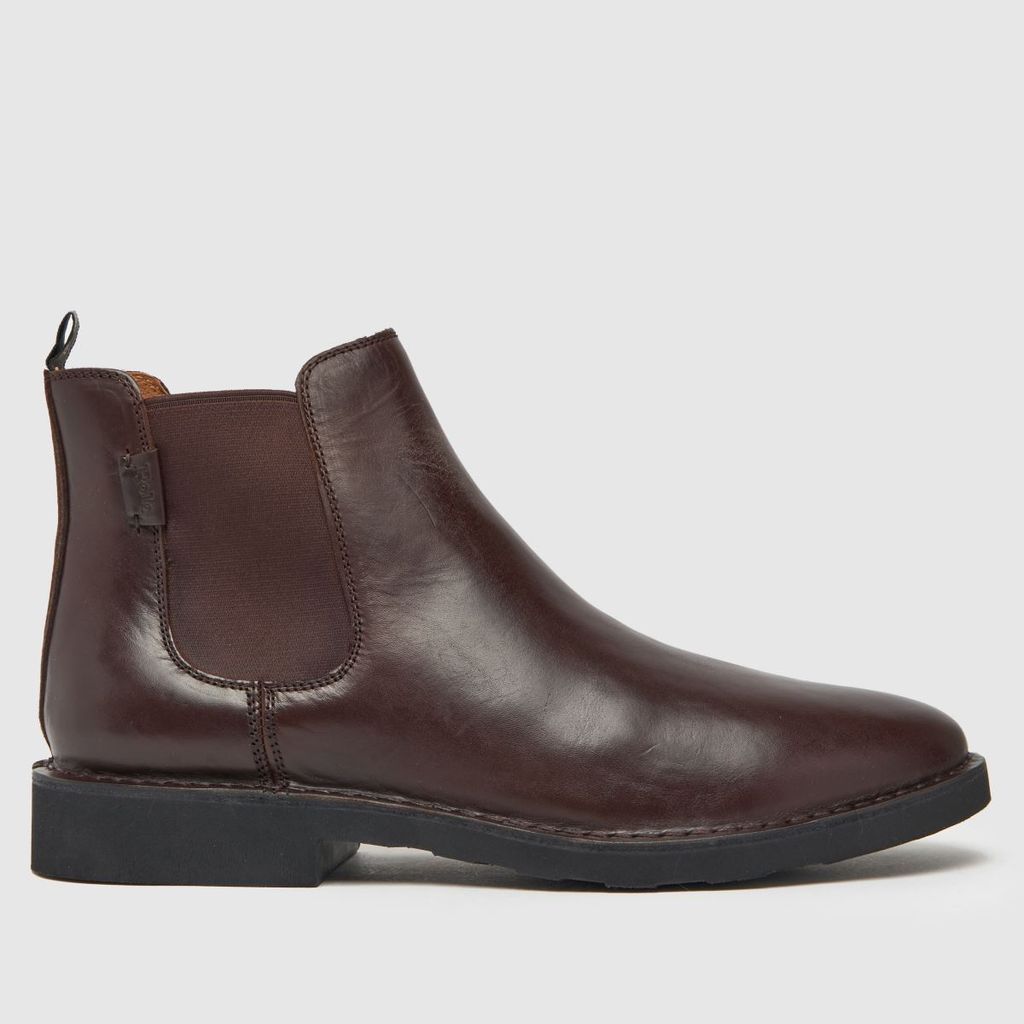 talan chelsea boots in brown