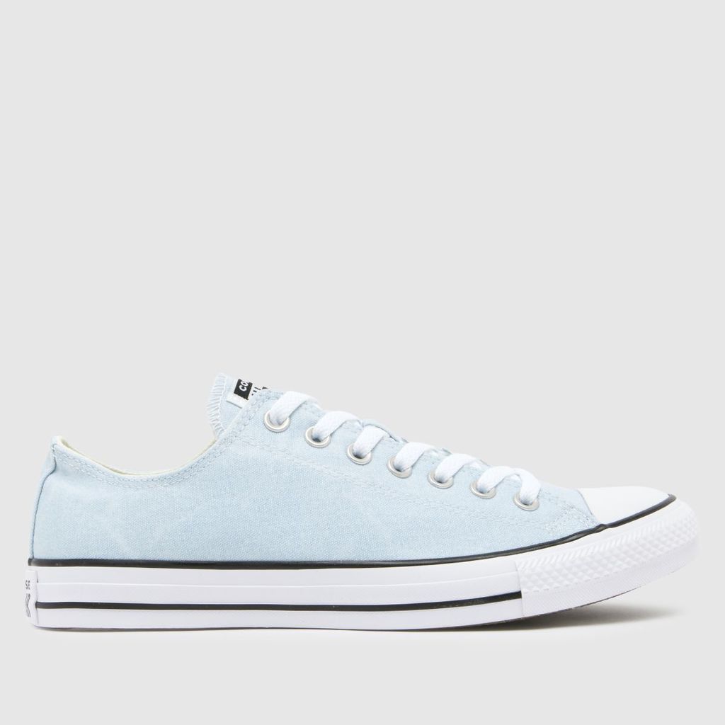 all star ox camp daze trainers in blue