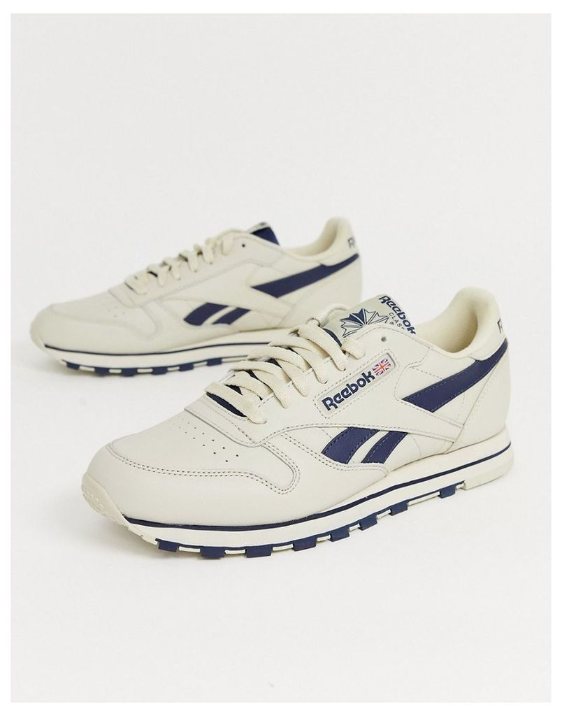 classic leather trainers in off white with navy vector