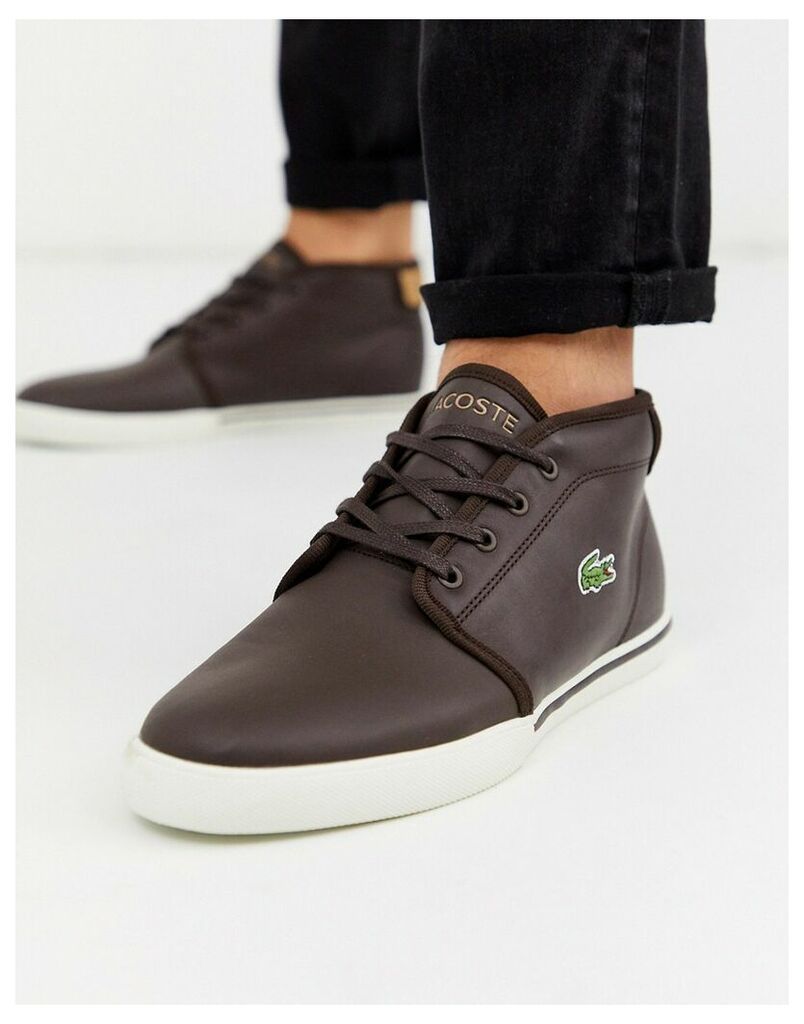 Lacoste amptill chukka boots in Brown-Navy