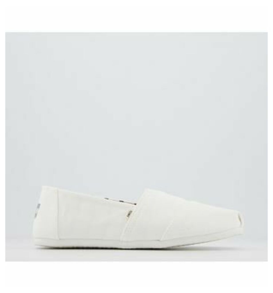 Toms Classic OPTIC WHITE HERITAGE CANVAS